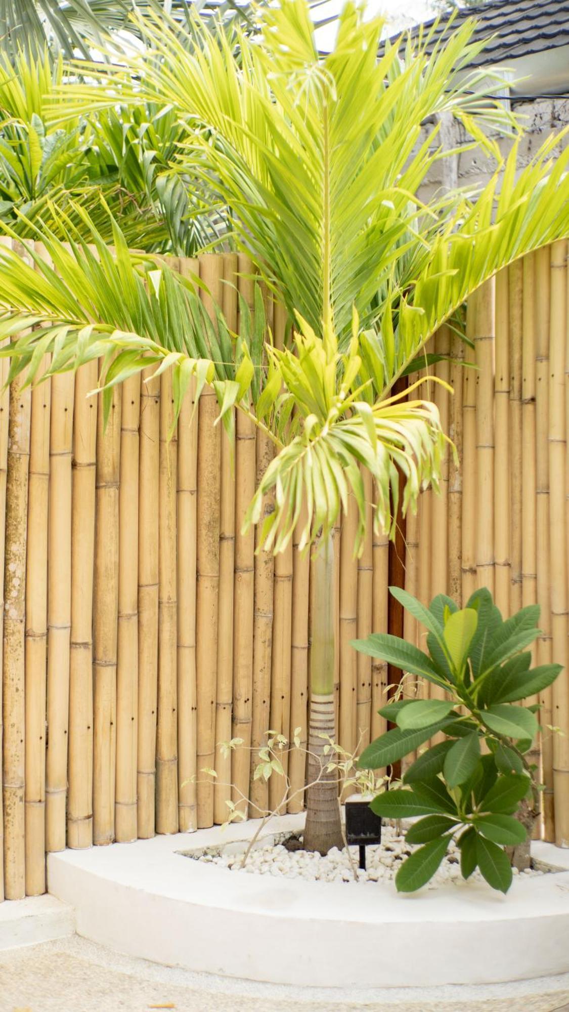 The White Bay Lombok Apartment Kuta  Exterior photo